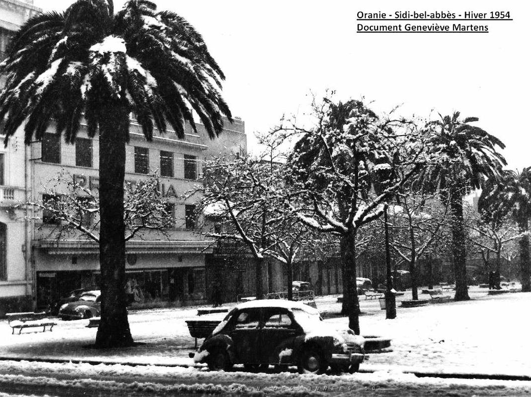 Sidi bel abbes 382.jpg
